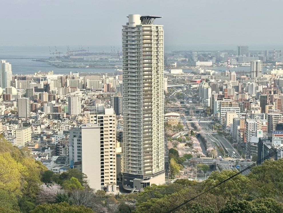 サムネイル画像