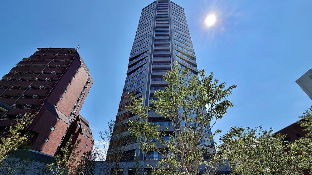 サムネイル画像